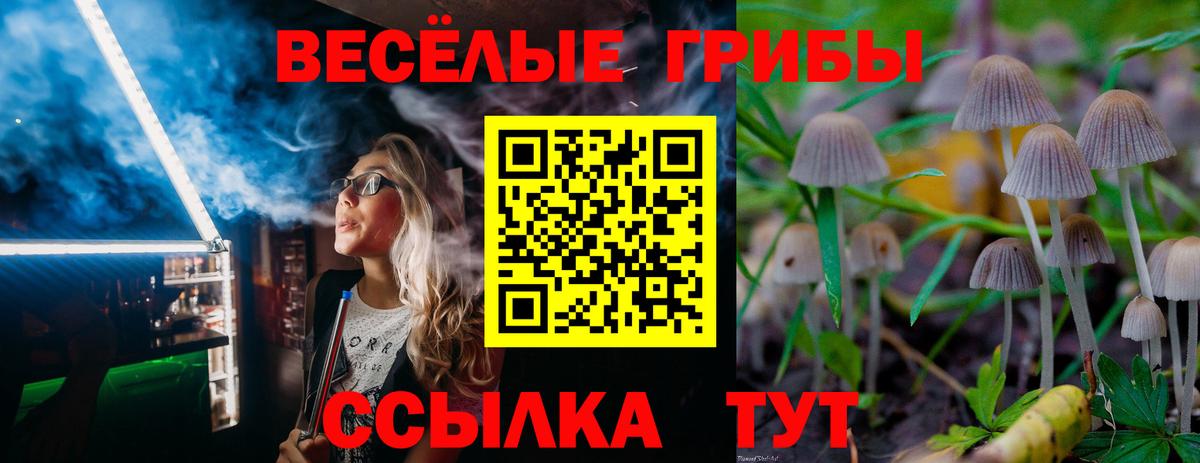 Псилоцибиновые грибы мицелий Воркута